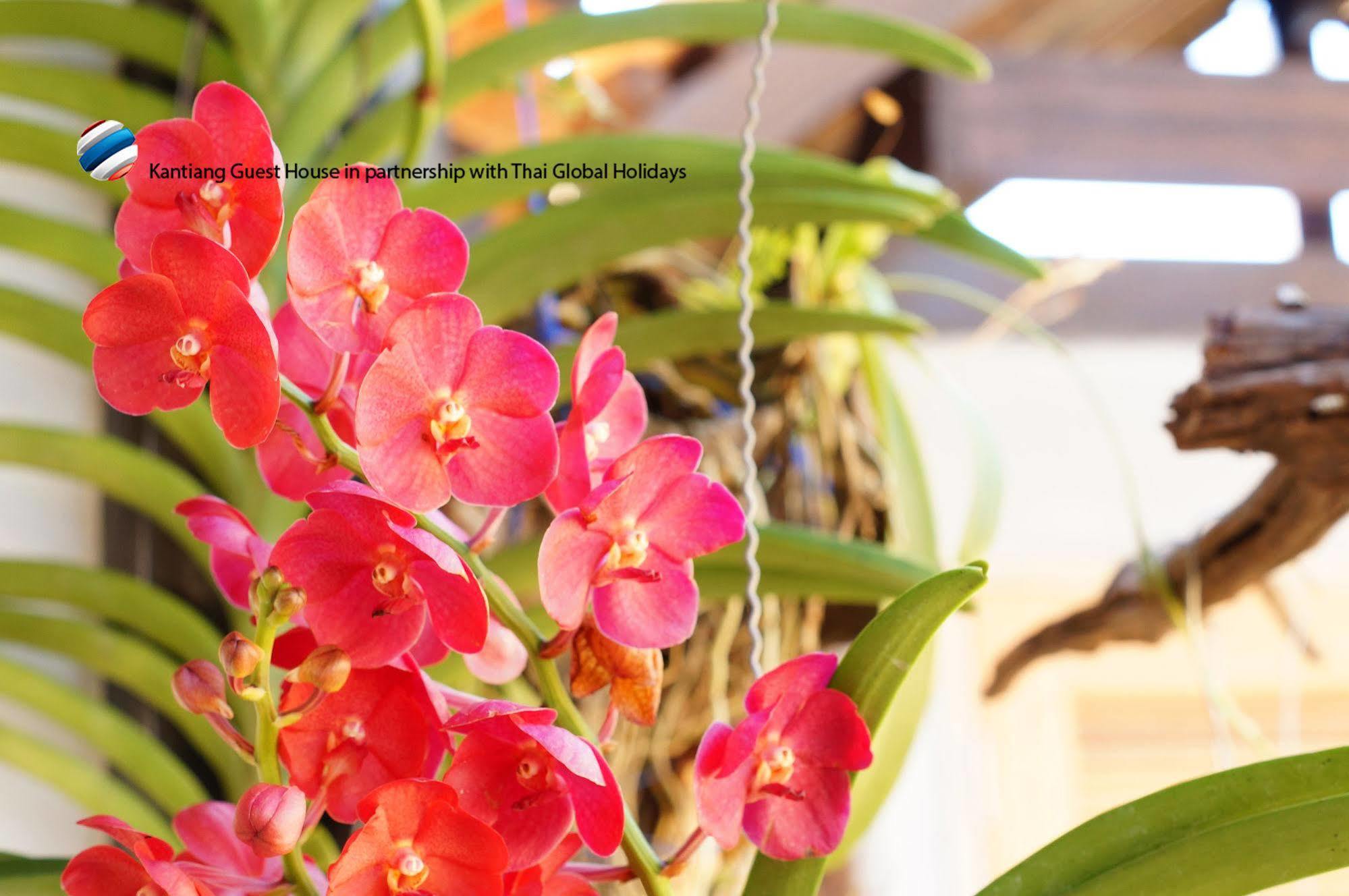 Kantaing Boutique Guest House Ko Lanta Dış mekan fotoğraf